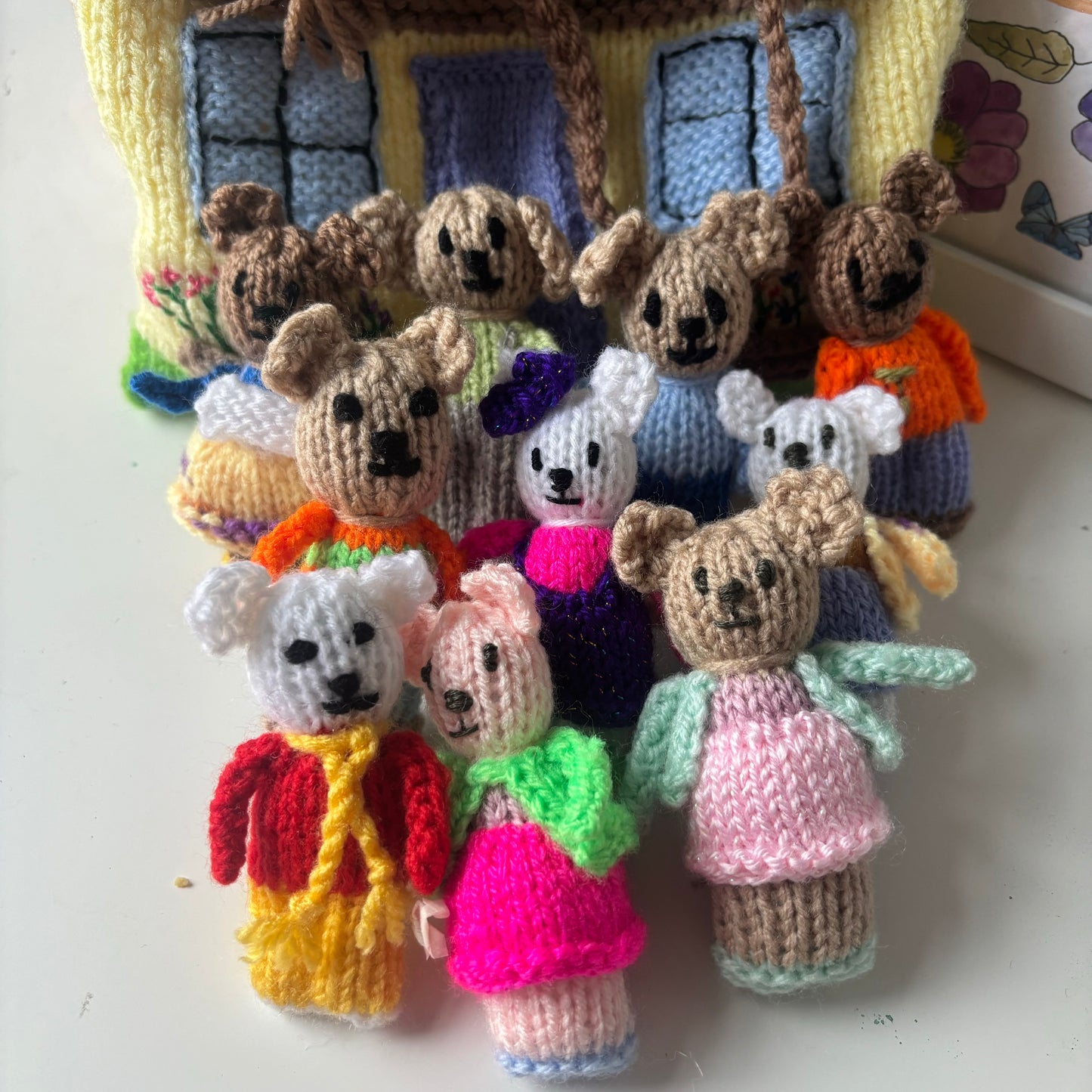 Knitted Teddy House Bag